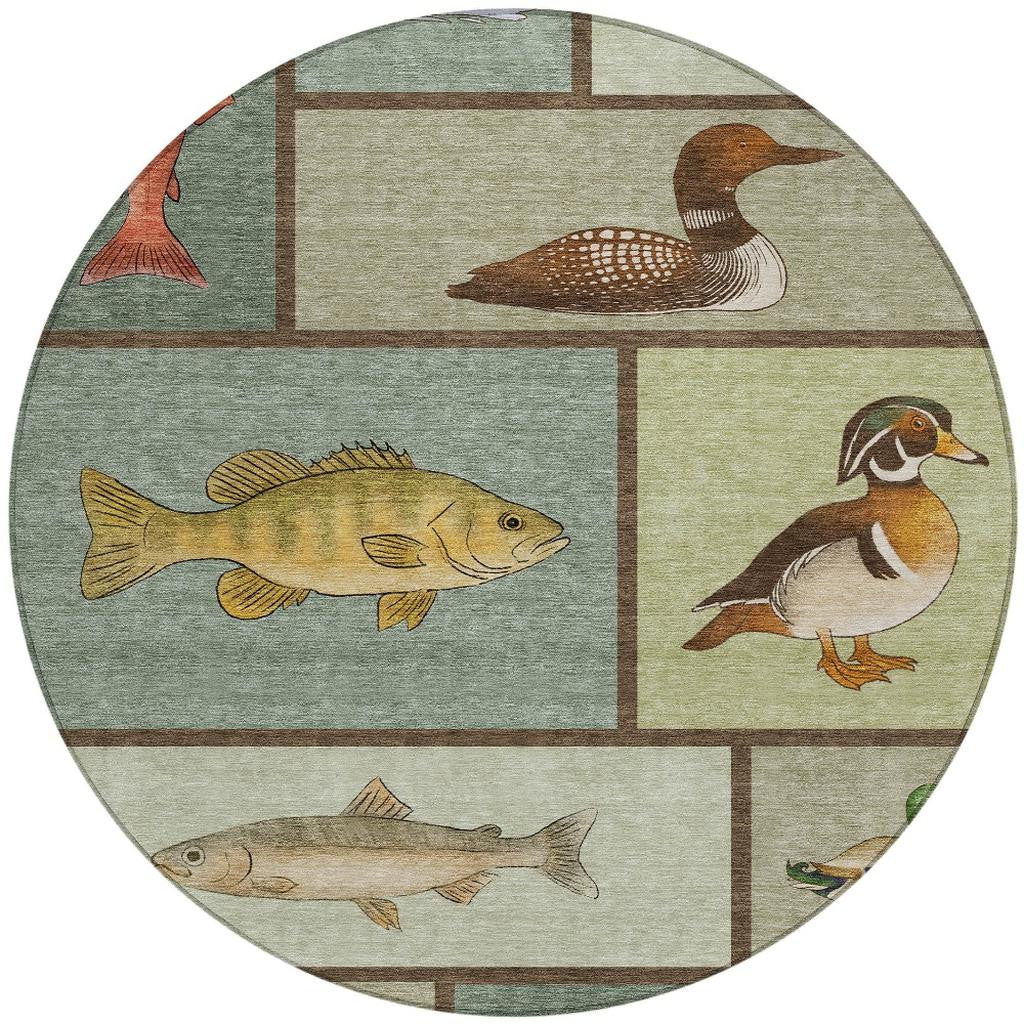 Round area rug featuring colorful fish and bird illustrations on a muted green and beige background.