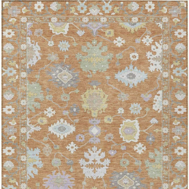 Indoor/outdoor area rug pattern detail, copper with light blue and cream decorative medallions