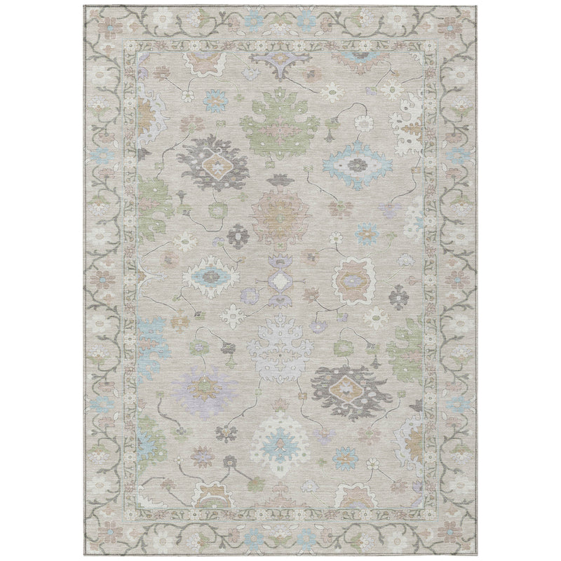 Light gray area rug with pastel blue, green, and neutral patterned border