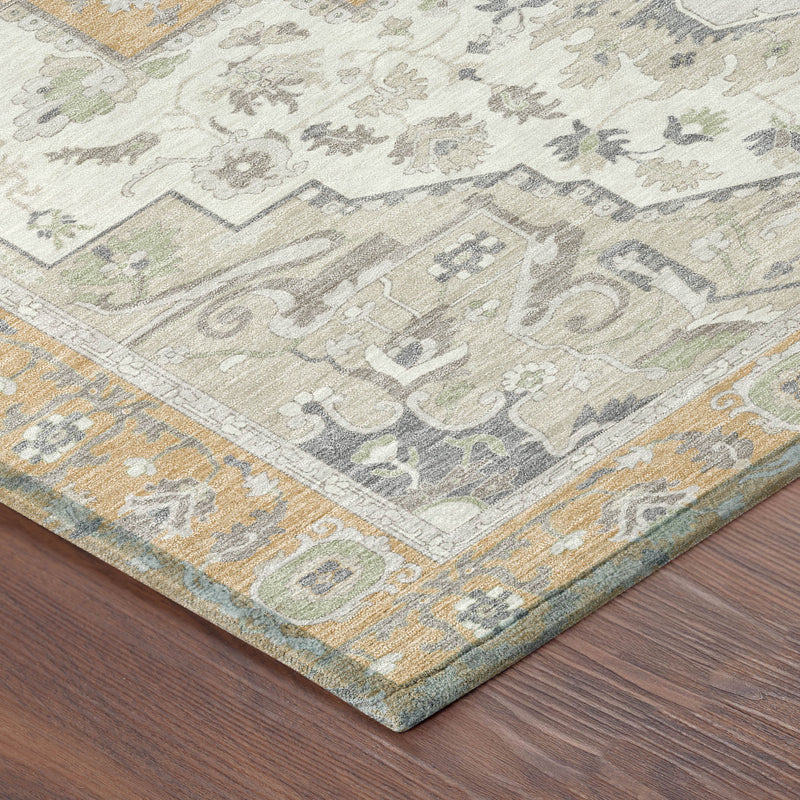Close-up of Oriental area rug corner with ornate gray motifs and peach-gold accents