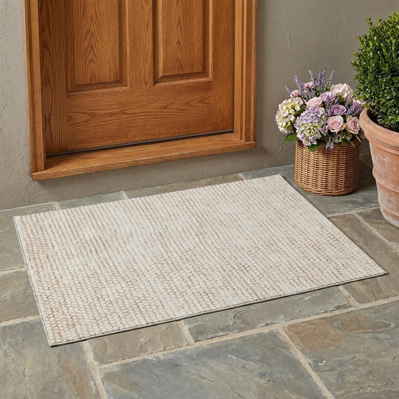 Ivory area rug with flat woven texture and light border framing the edges