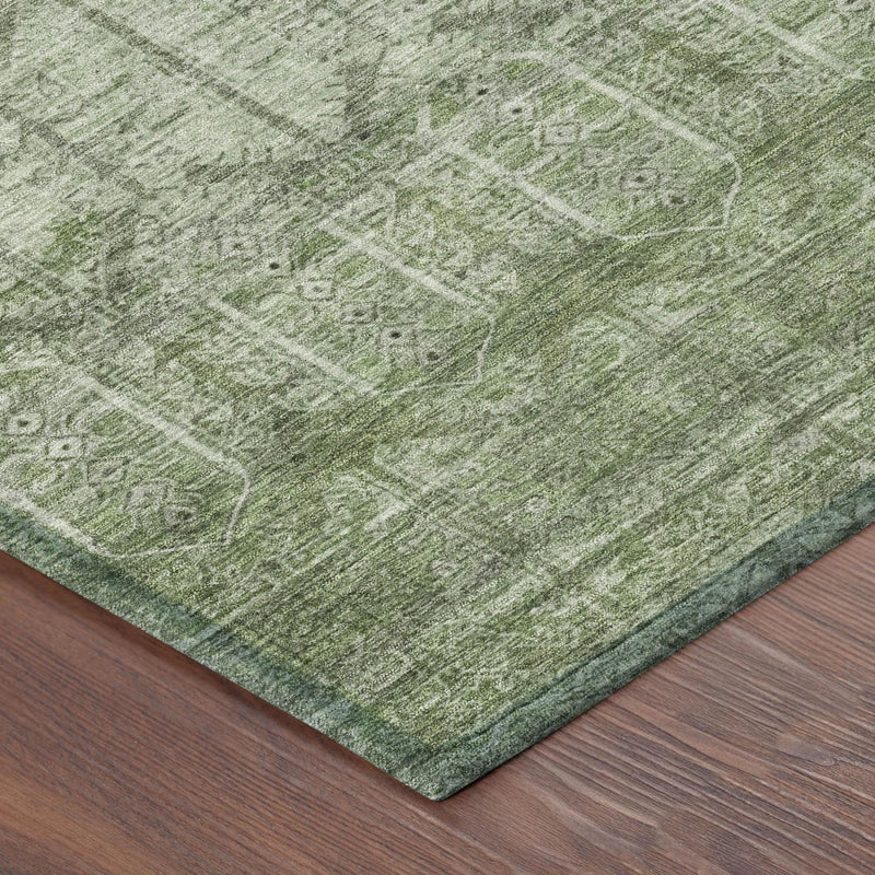 Sage green area rug corner detail with tribal motifs and textured distressed wash