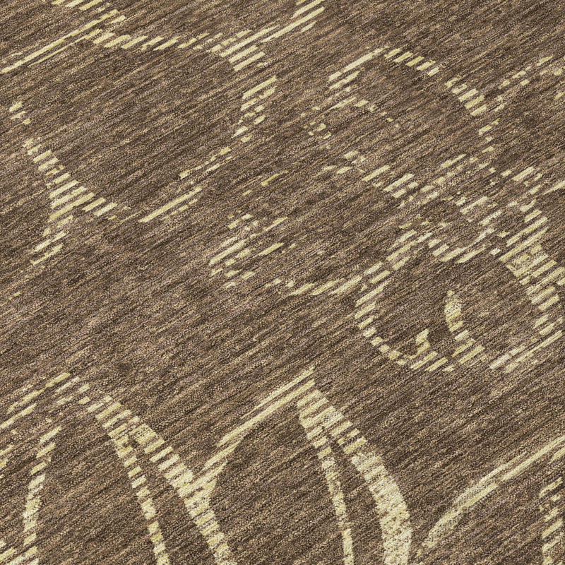 Brown area rug close-up with cream distressed botanical motif and detailed lines