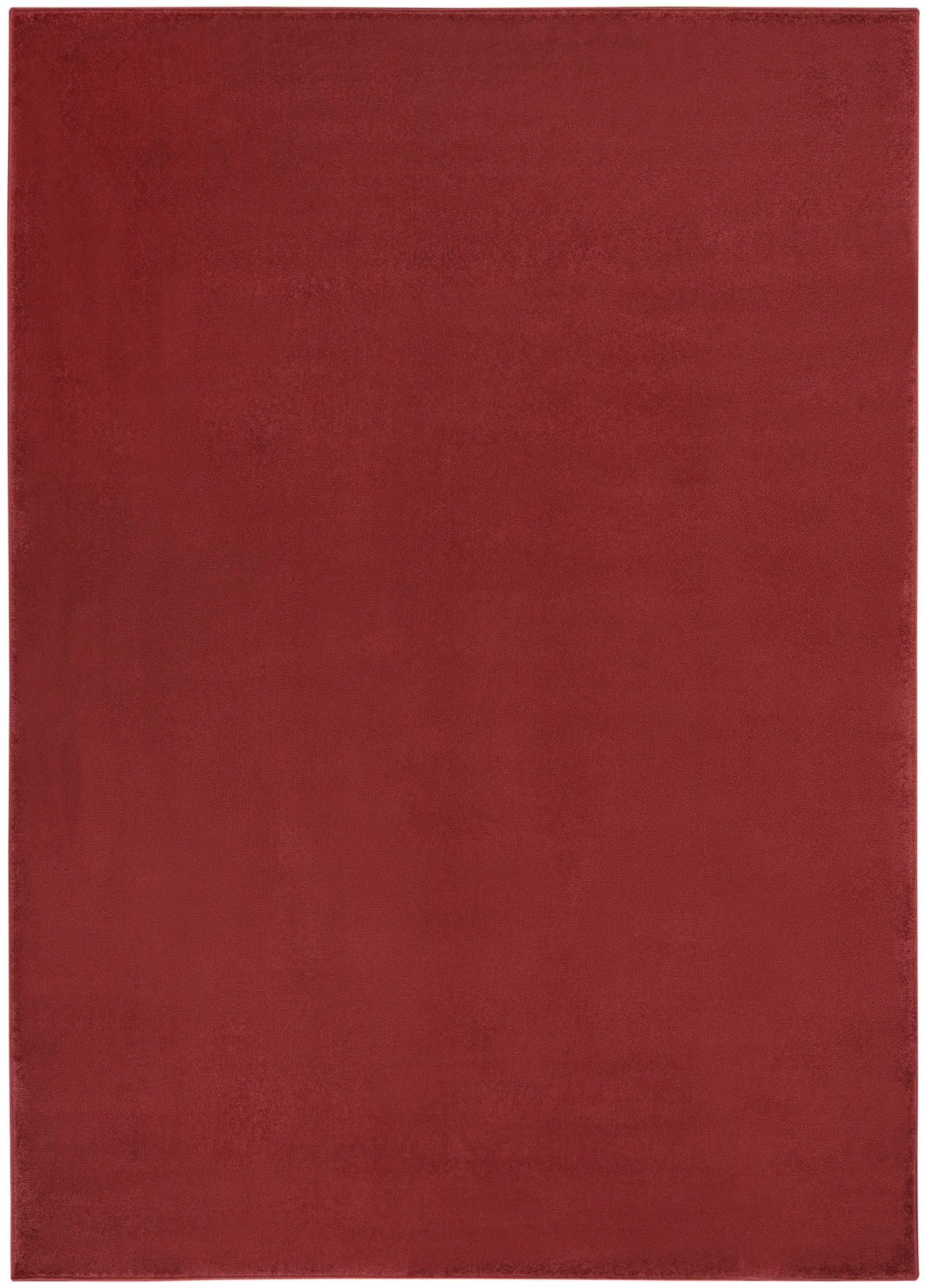 4' X 6' Brick Red Stain Resistant Indoor Outdoor Area Rug - Outdoor