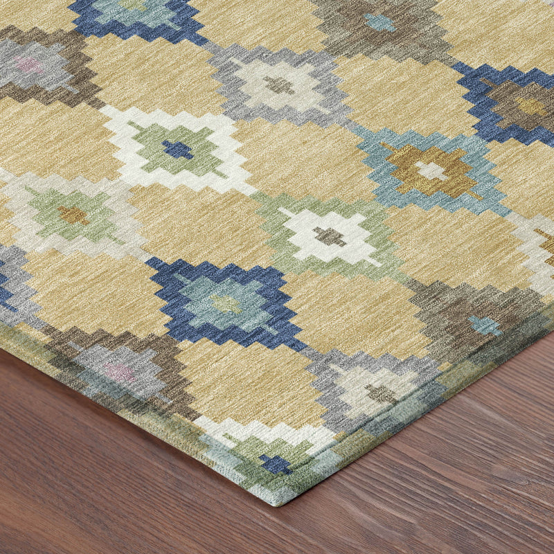 Corner of indoor outdoor area rug, textured weave with gold and blue diamond motifs
