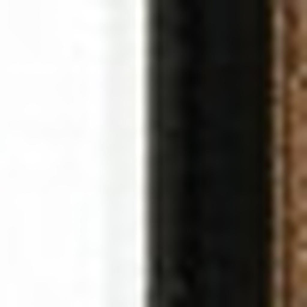 20' Black And Ivory Oriental Runner Rug - Home & Garden