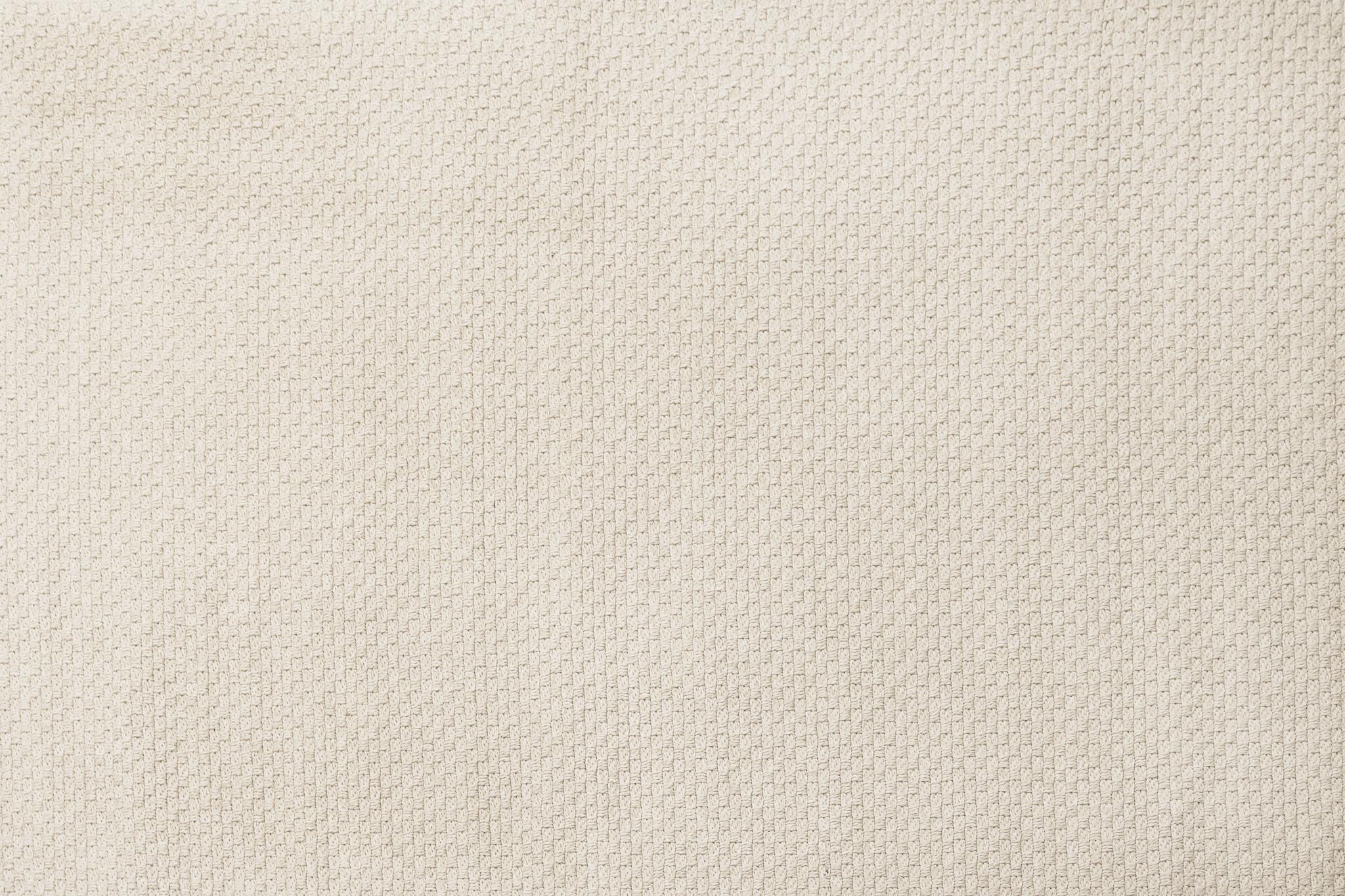 Light beige area rug with dense looped pattern and textured surface pile.