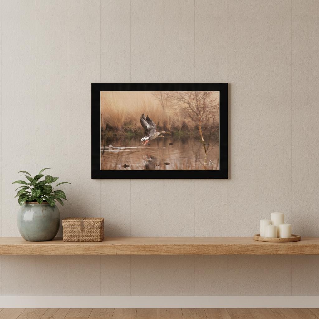 Fly Away 3 Black Framed Print Wall Art - Home Decor