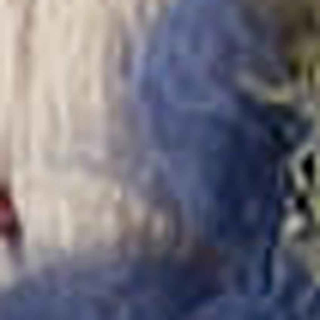 3' X 4' Ivory And Blue Indoor Outdoor Area Rug