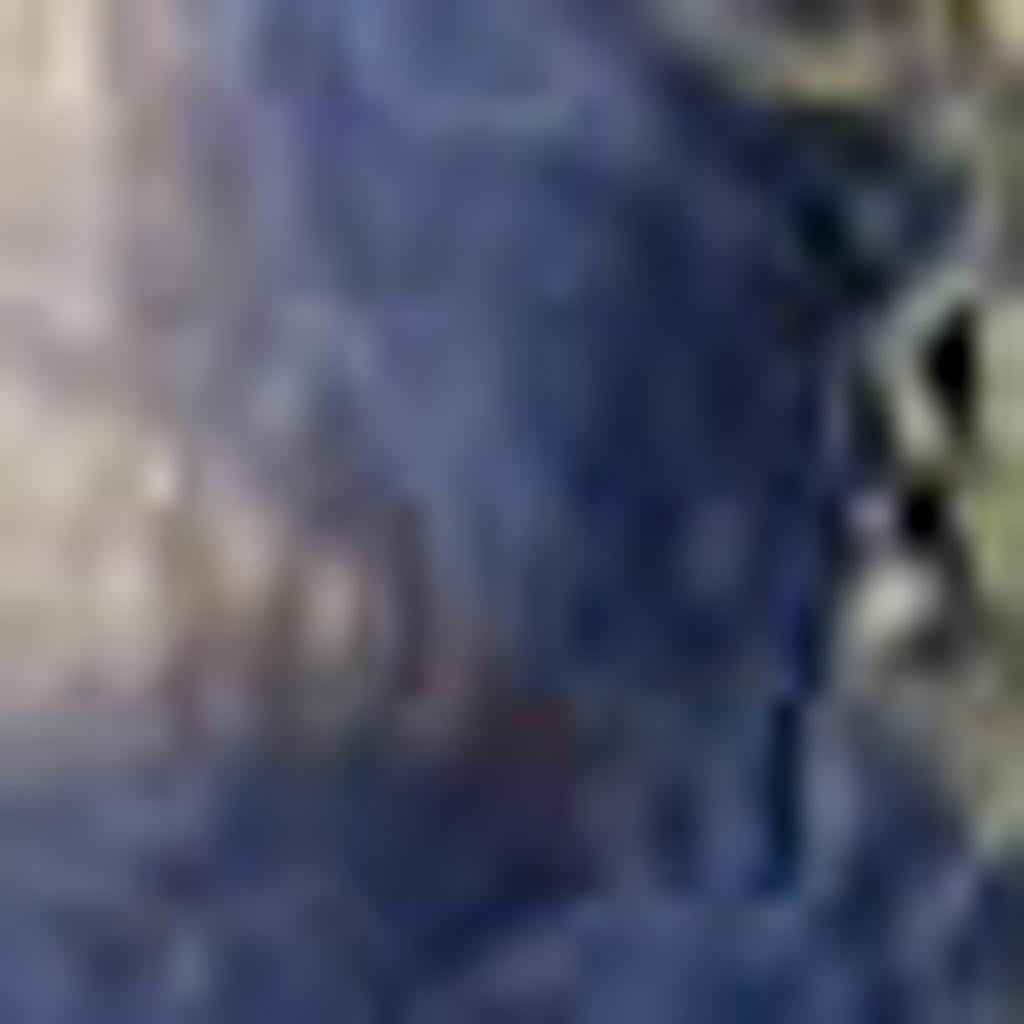 3' X 4' Ivory And Blue Indoor Outdoor Area Rug