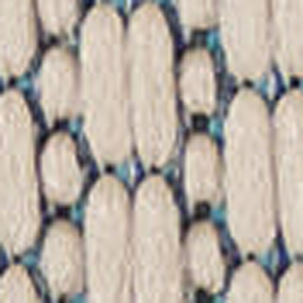 10' Ivory And Blue Indoor Outdoor Area Rug - Outdoor