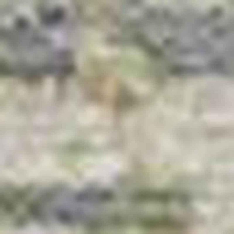 8' X 10' Artichoke Green And Beige Moroccan Washable Indoor Outdoor Area Rug