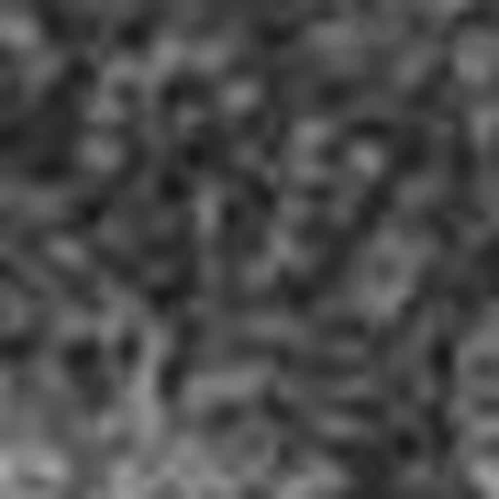 3' X 5' Silver And Black Ombre Washable Indoor Outdoor Area Rug