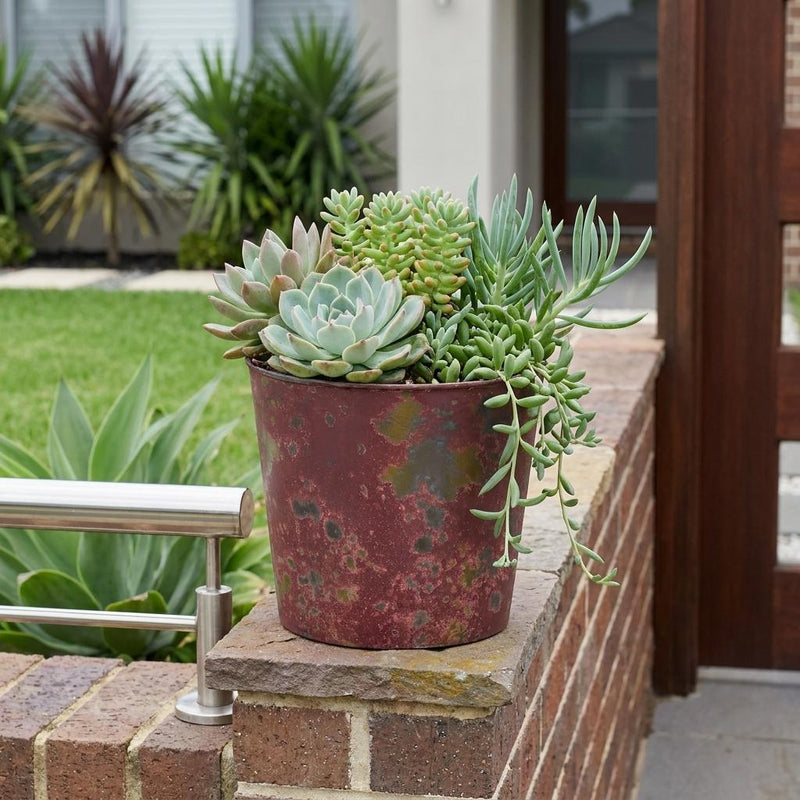 Round recycled plastic planter with succulents, dark red mottled speckle finish