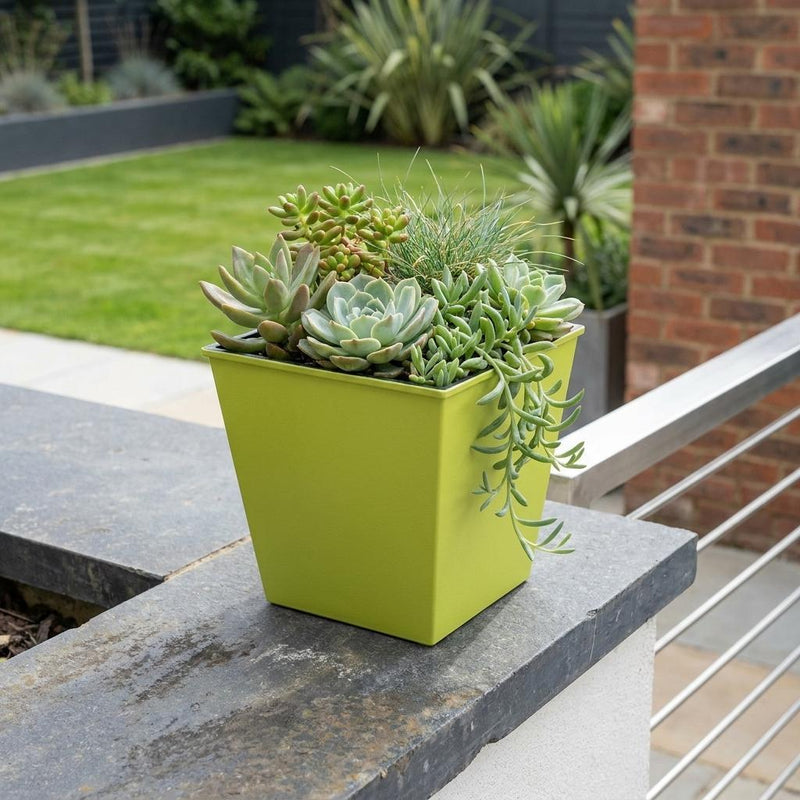 Lime green square plastic planter holding succulent plants on patio