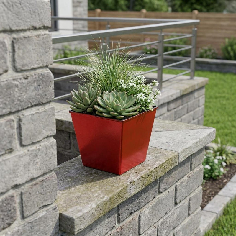 Red square planter with succulents and small white flowers