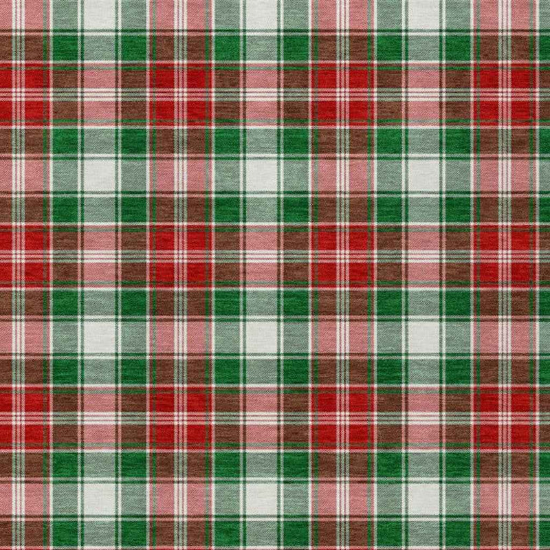 3' X 5' Emerald Red And White Plaid Washable Indoor Outdoor Area Rug