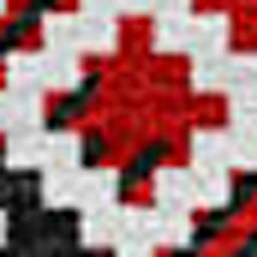 8' Red Black And Ivory Round Animal Print Washable Indoor Outdoor Area Rug