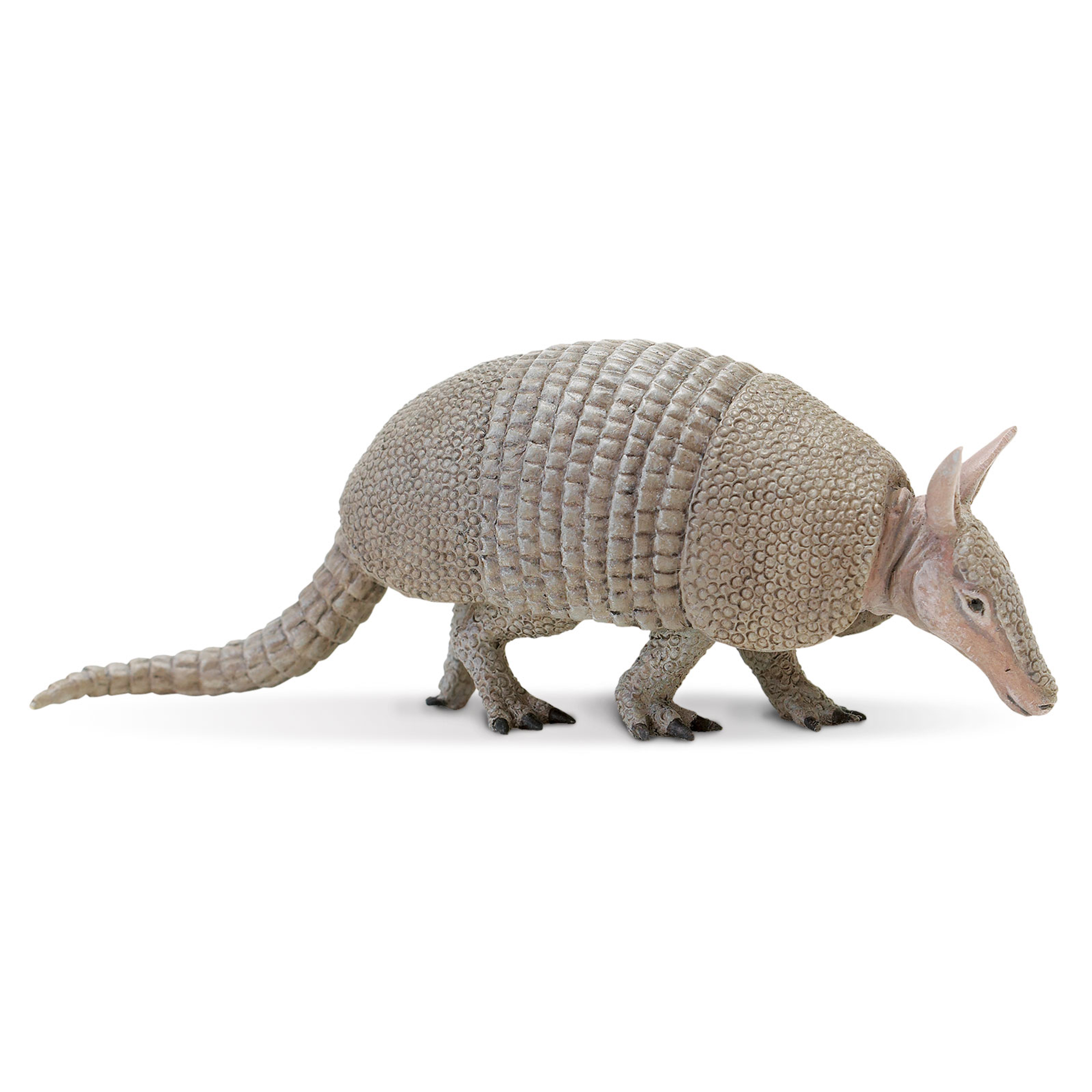 Armadillo Toys