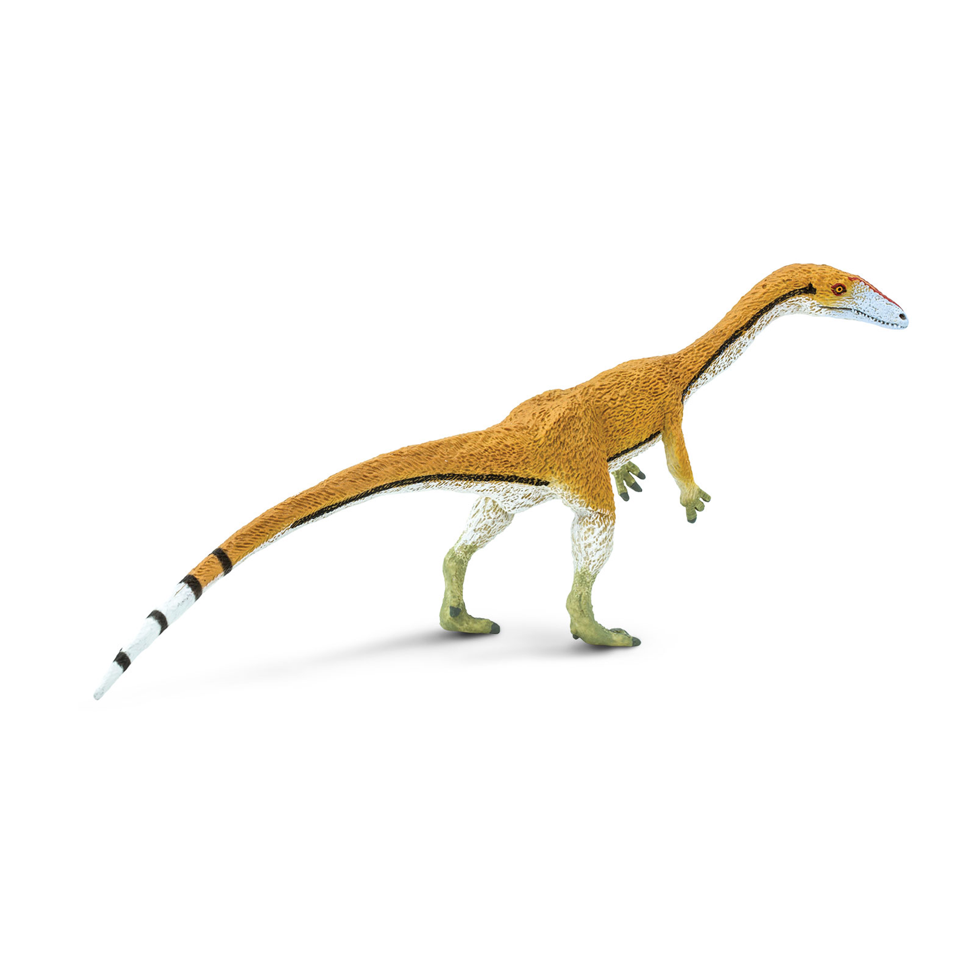 Coelophysis Toys