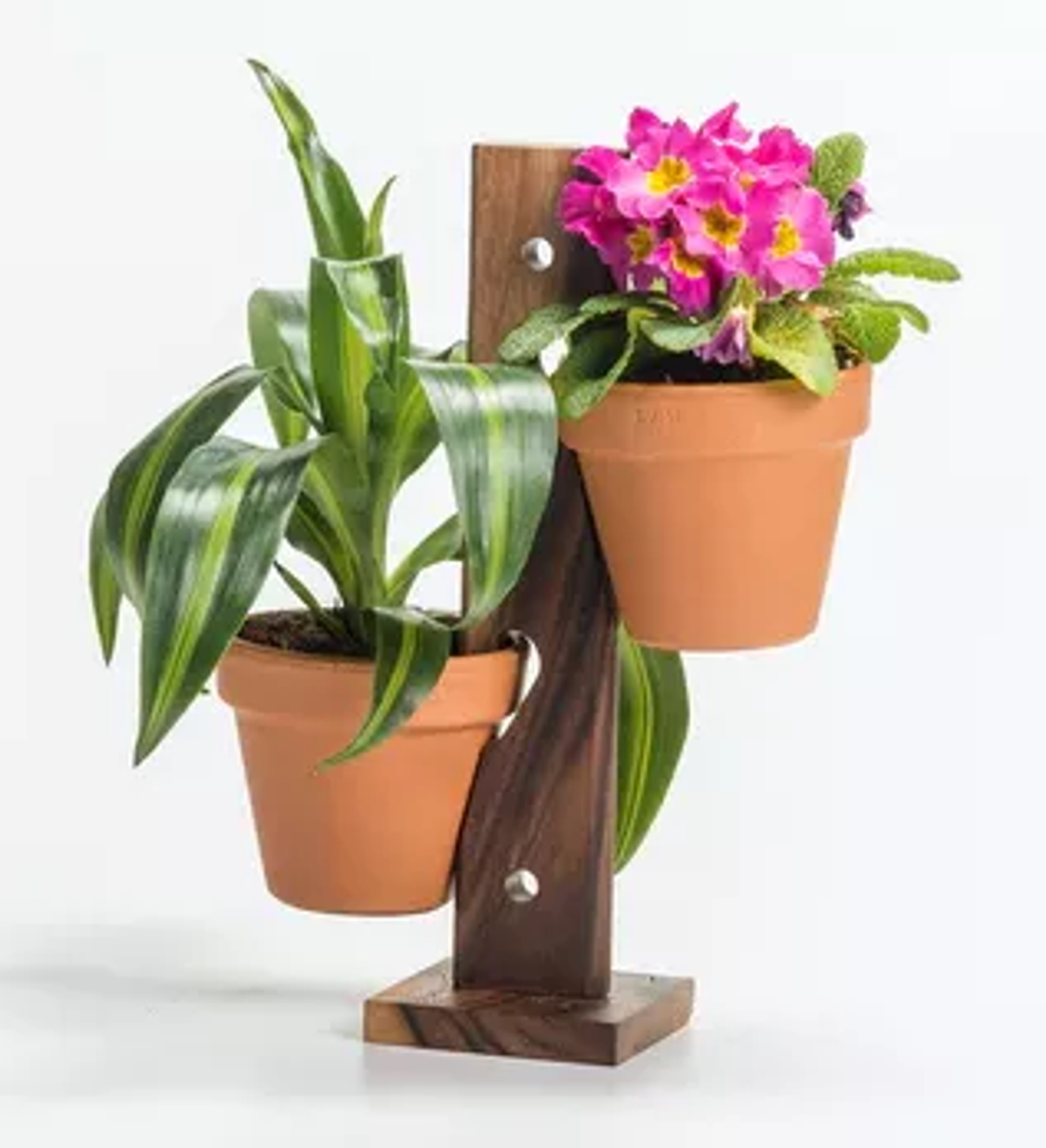 2 Pot Hanging/ Standing Plant Holder - 1 - Home & Garden