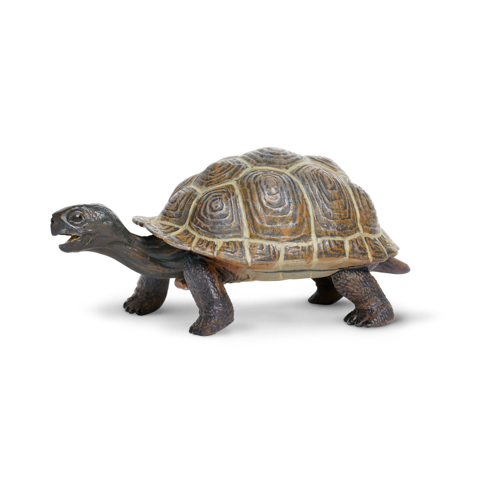 Tortoise Baby Toys