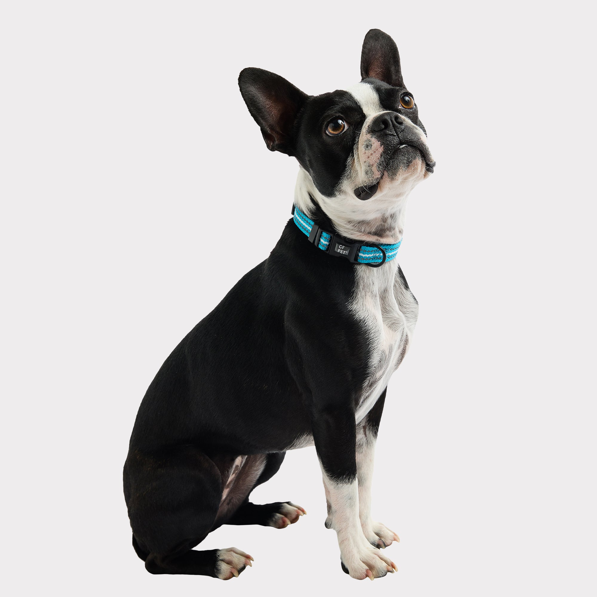 GF Pet  Reflective Collar Pets