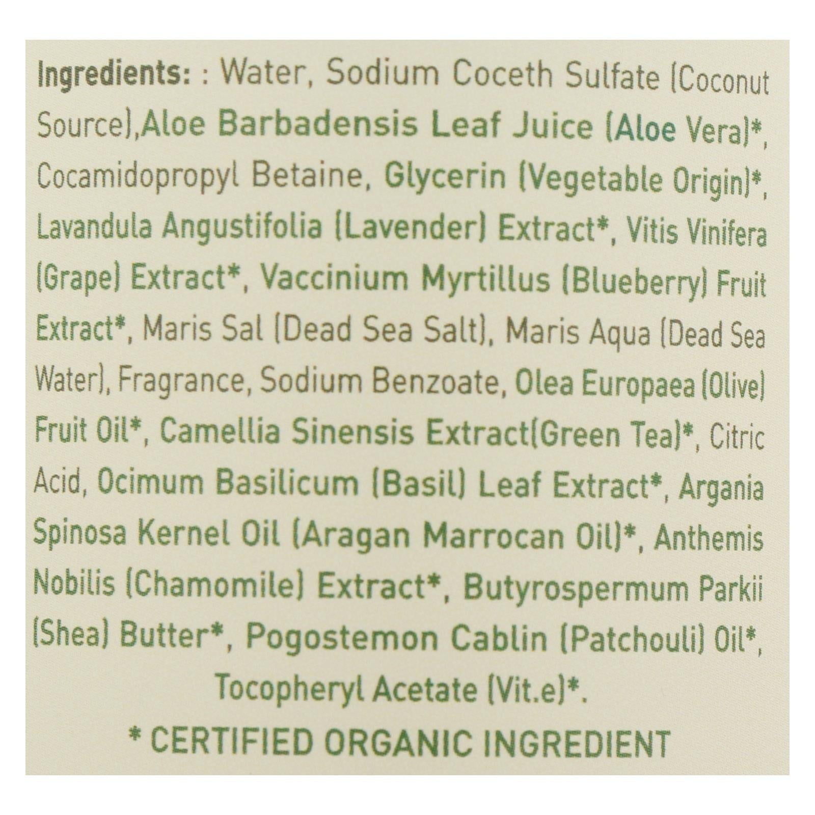 Ecolove - Shower Gel Purple Fruit - 1 Each - 17.6 Fz - GreatEagleInc