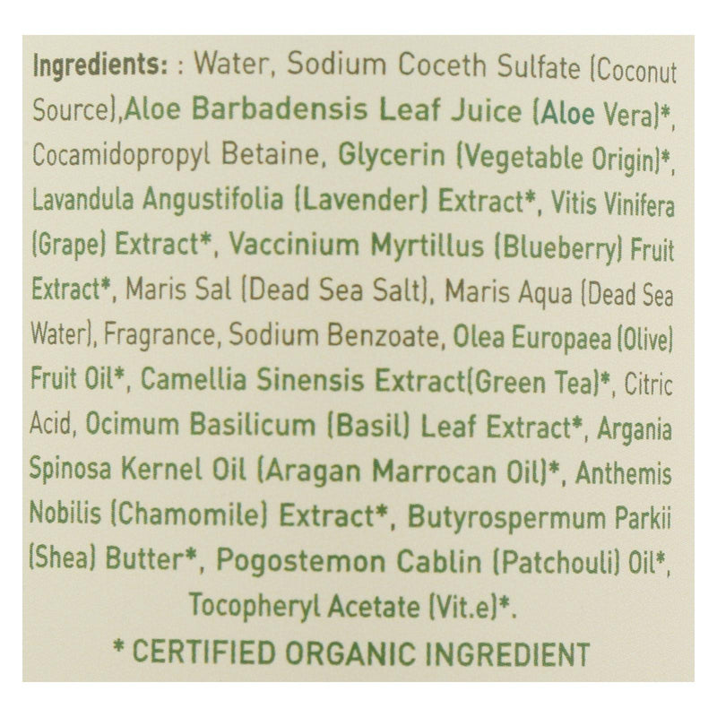 Ecolove - Shower Gel Purple Fruit - 1 Each - 17.6 Fz - GreatEagleInc