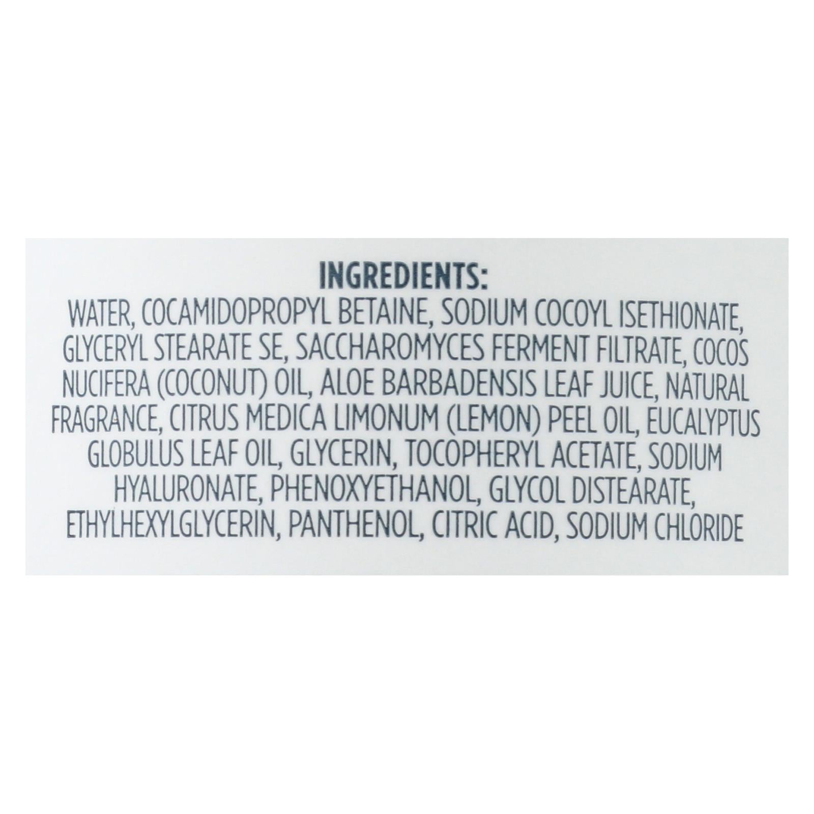 Kirk's Natural - Hand Soap Lemon Eucalyptus - 12 Fz - GreatEagleInc