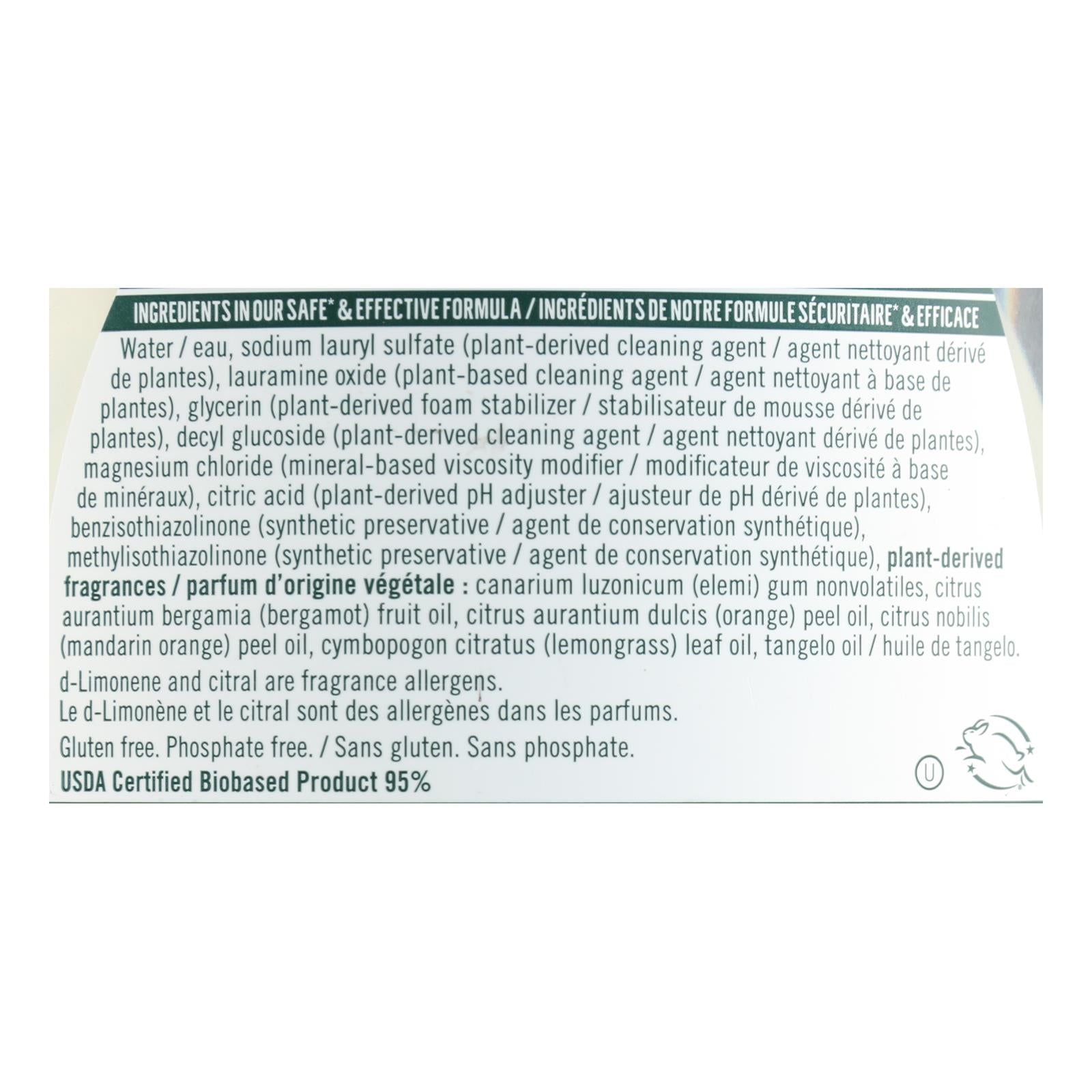 Seventh Generation - Dish Liquid Lemongrass Clementine - Case Of 6-19 Fz - GreatEagleInc