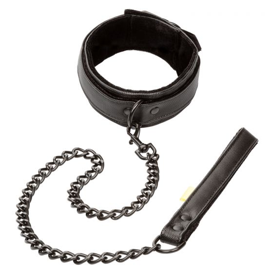 Boundless Collar & Leash - GreatEagleInc