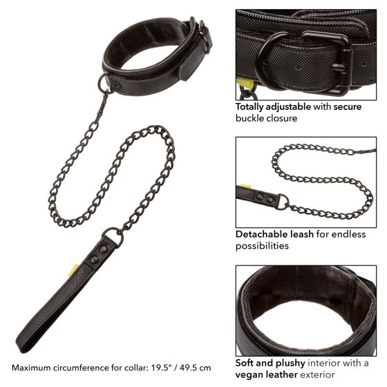 Boundless Collar & Leash - GreatEagleInc