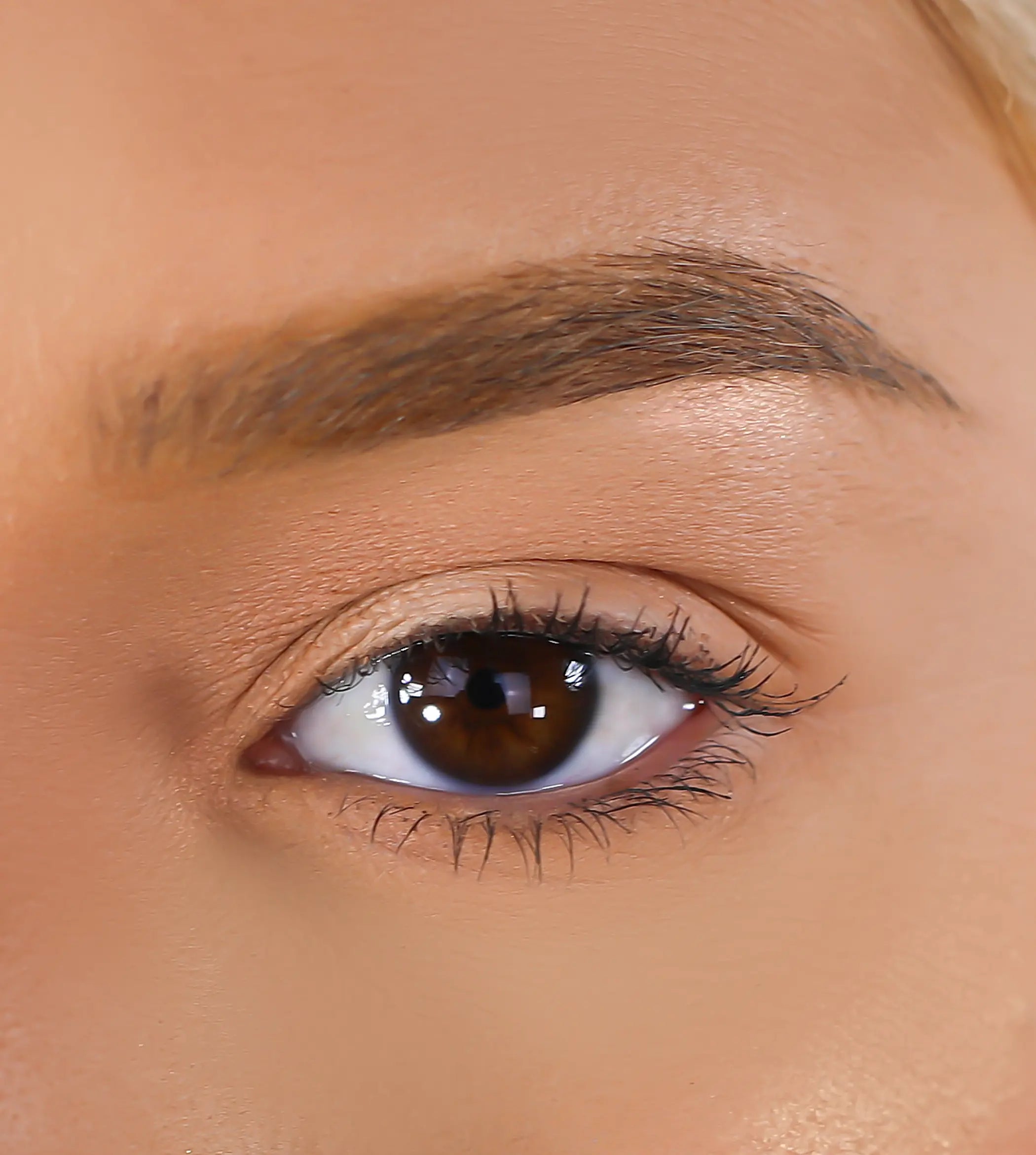 3D Mink Eyelashes - Dynamic Lurella Cosmetics