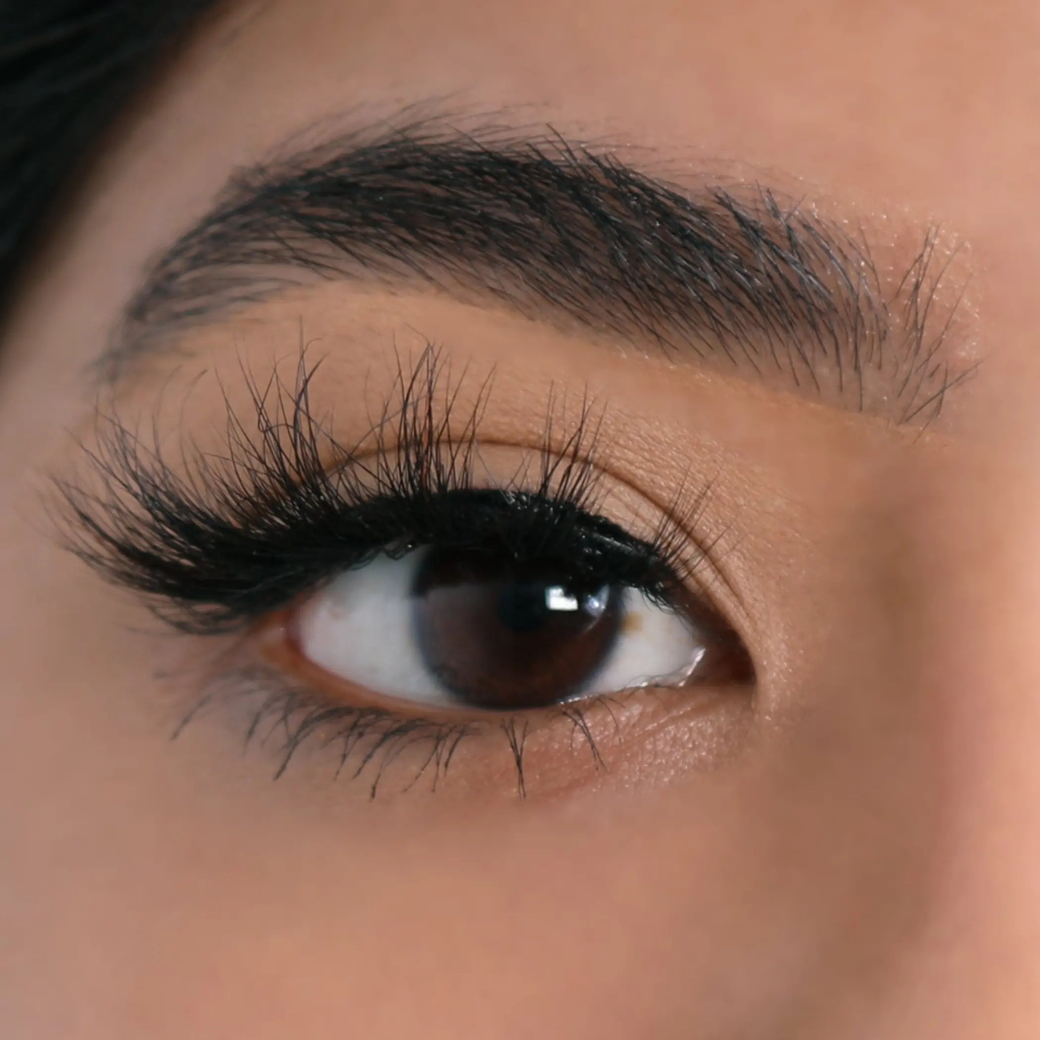 3D Mink Eyelashes - Unstoppable Lurella Cosmetics
