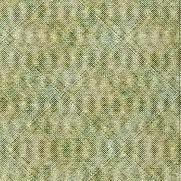 3' X 5' Sage And Green Plaid Washable Indoor Outdoor Area Rug Homeroots Outdoor
