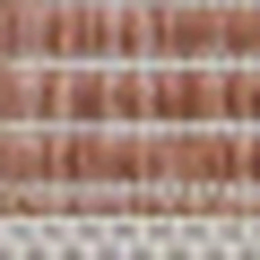 3' X 5' Salmon And Cream Geometric Indoor Outdoor Area Rug - GreatEagleInc