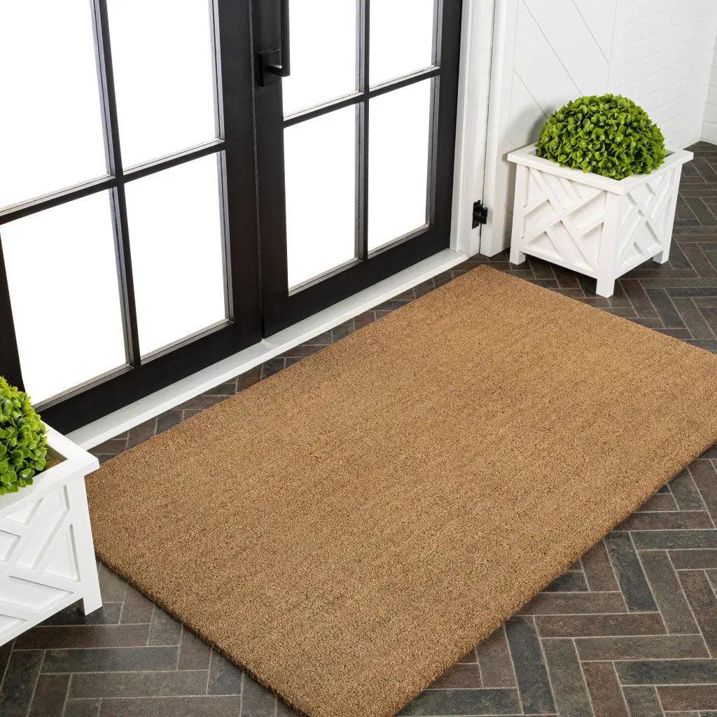 3' X 6' Light Brown Indoor Outdoor Area Rug Homeroots Outdoor