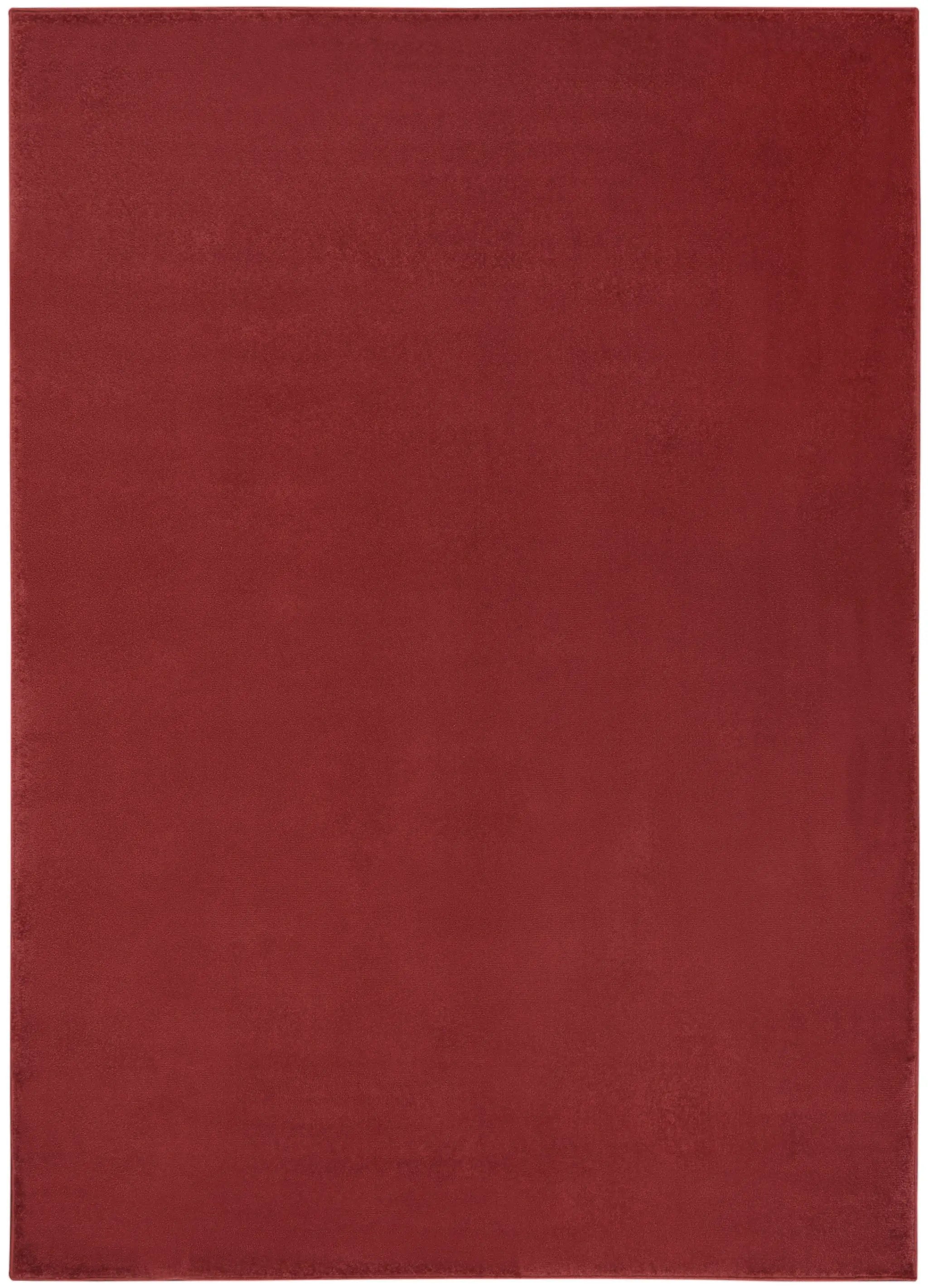 4' X 6' Brick Red Stain Resistant Indoor Outdoor Area Rug Homeroots Outdoor