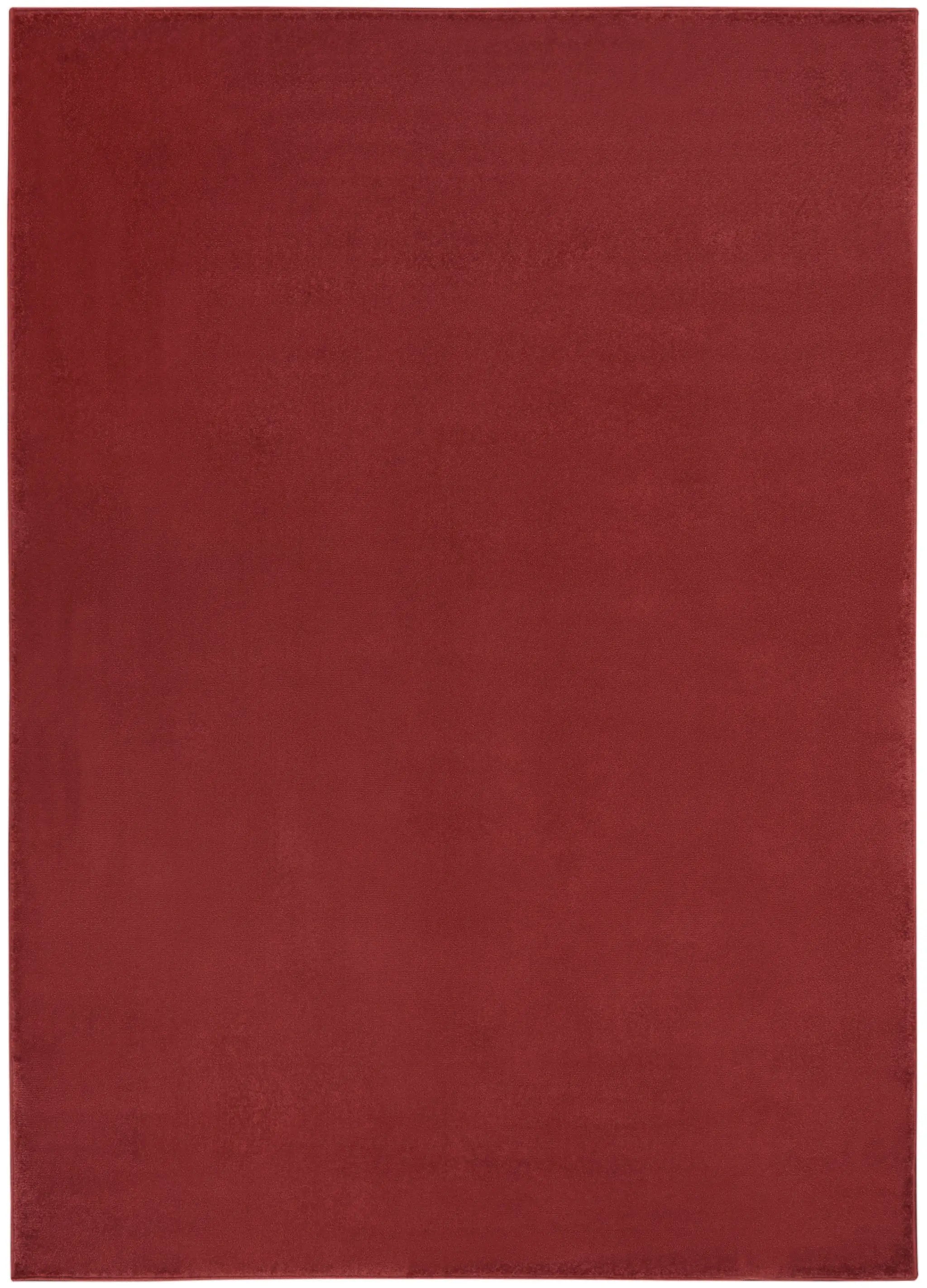 4' X 6' Brick Red Stain Resistant Indoor Outdoor Area Rug Homeroots Outdoor