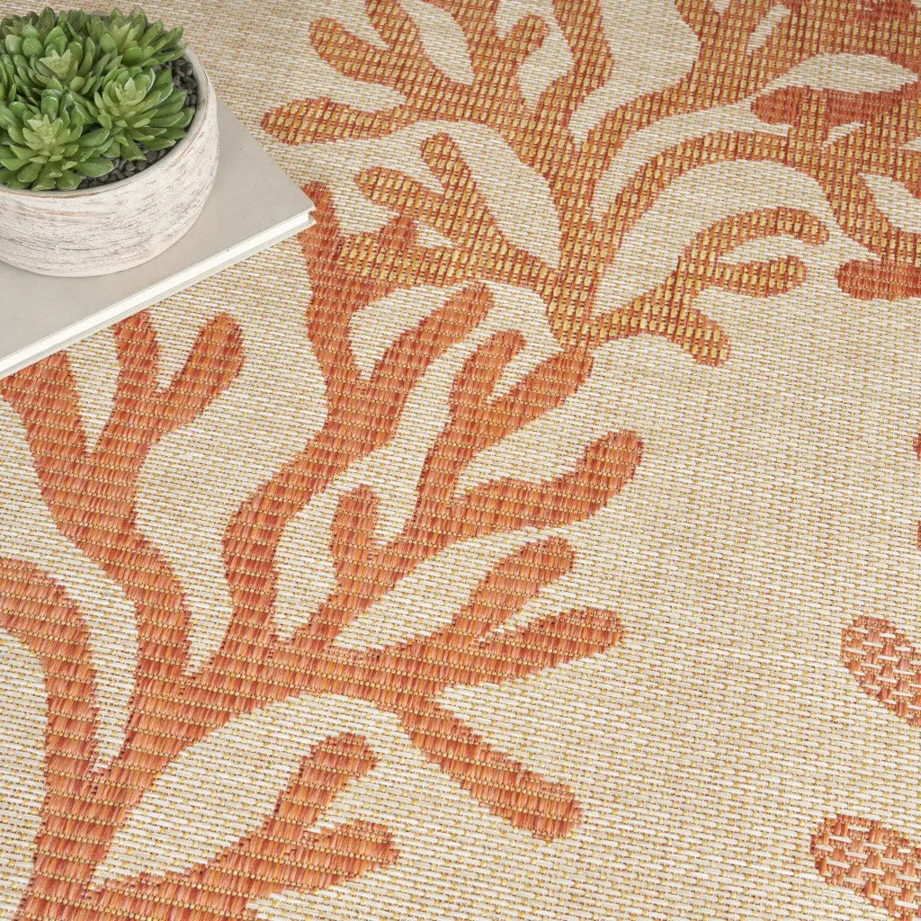 4' X 6' Coral And Beige Nautical Indoor Outdoor Area Rug Homeroots Outdoor