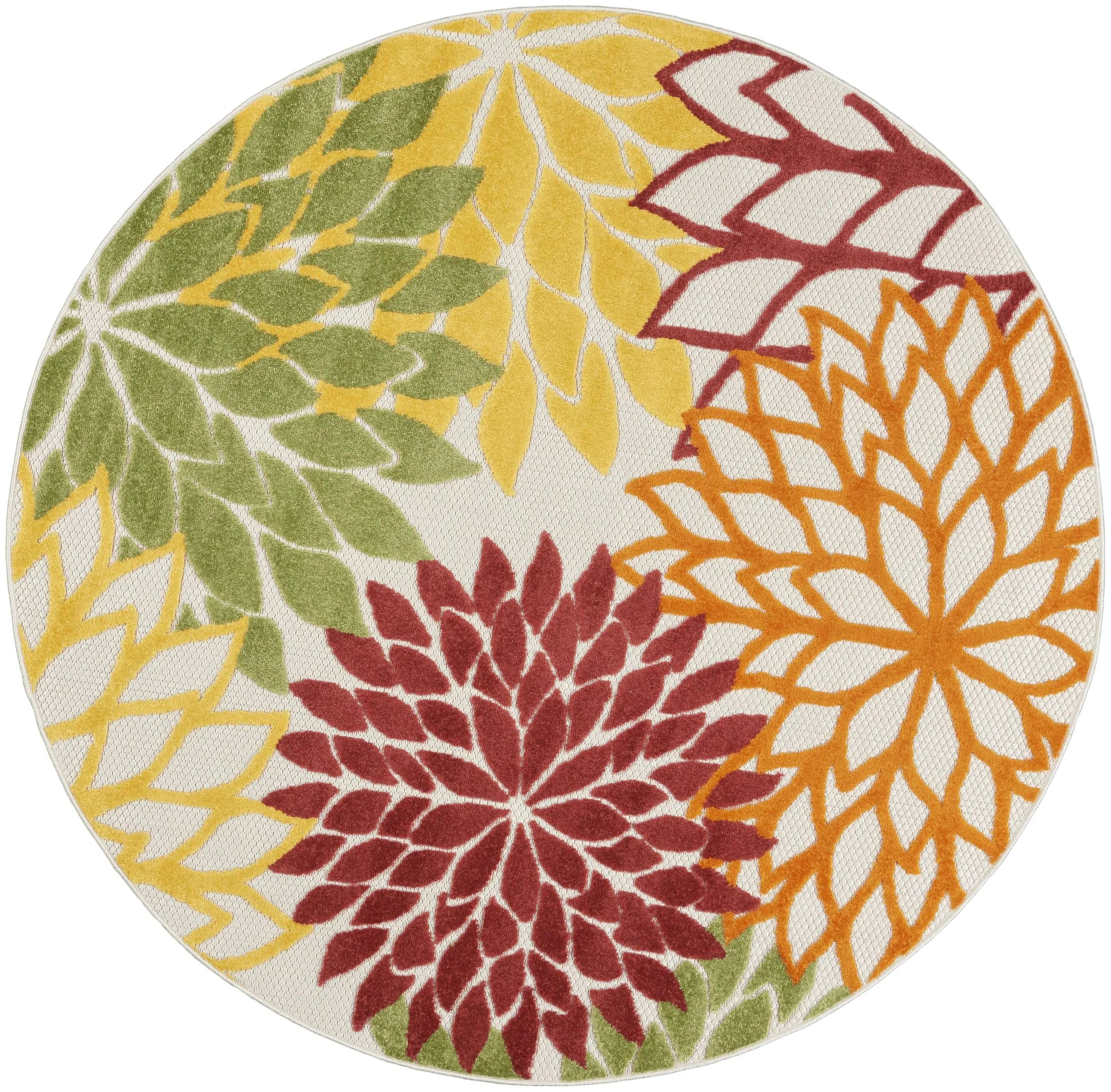 244206178