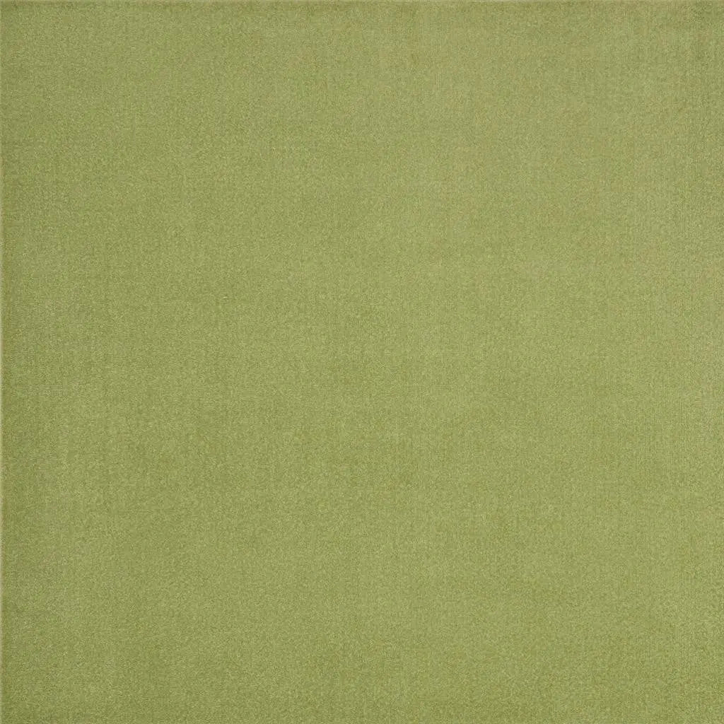 5' X 5' Green Square Indoor Outdoor Area Rug - GreatEagleInc