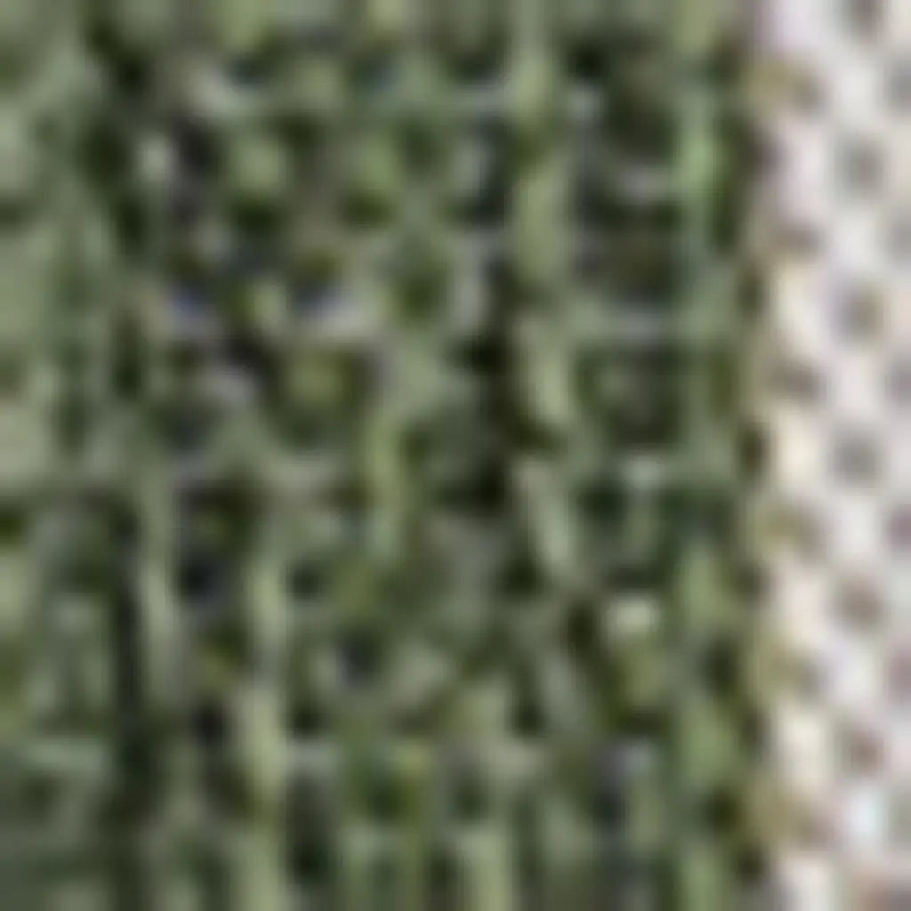 5' X 8' Green And Cream Geometric Indoor Outdoor Area Rug - GreatEagleInc