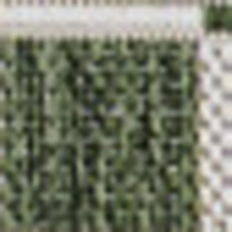 5' X 8' Green And Cream Geometric Indoor Outdoor Area Rug - GreatEagleInc