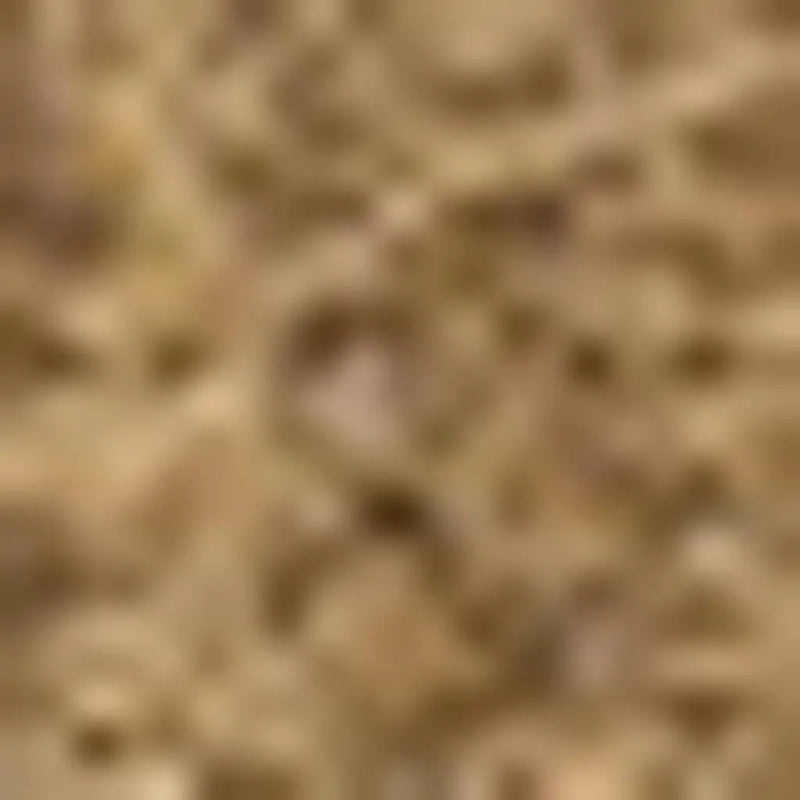 5' X 8' Light Brown Indoor Outdoor Area Rug Homeroots Outdoor