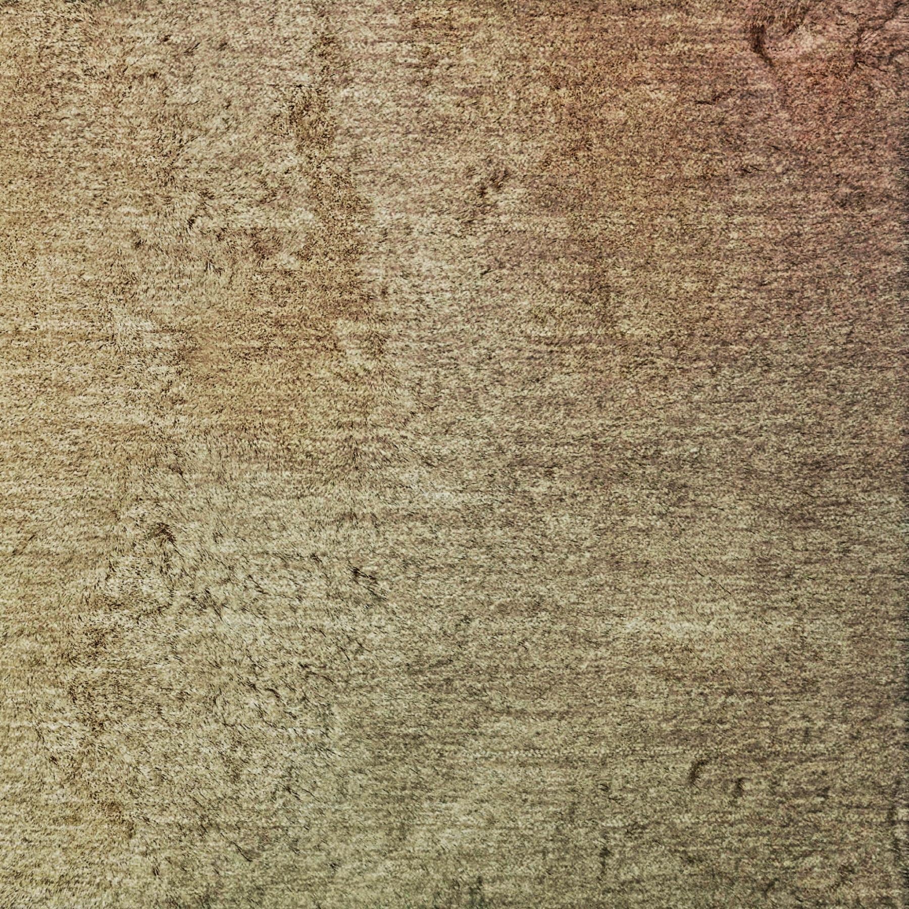 3' X 5' Blush And Taupe Ombre Shag Washable Area Rug With UV Protection - Home & Garden