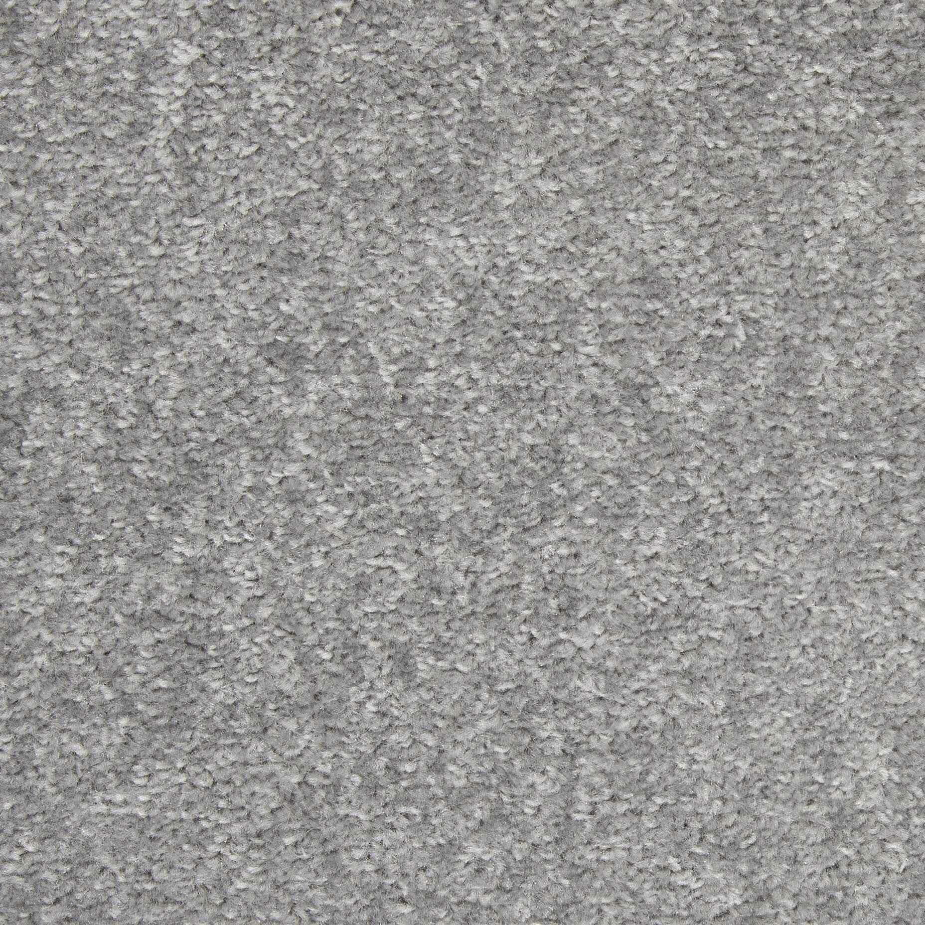 302725825