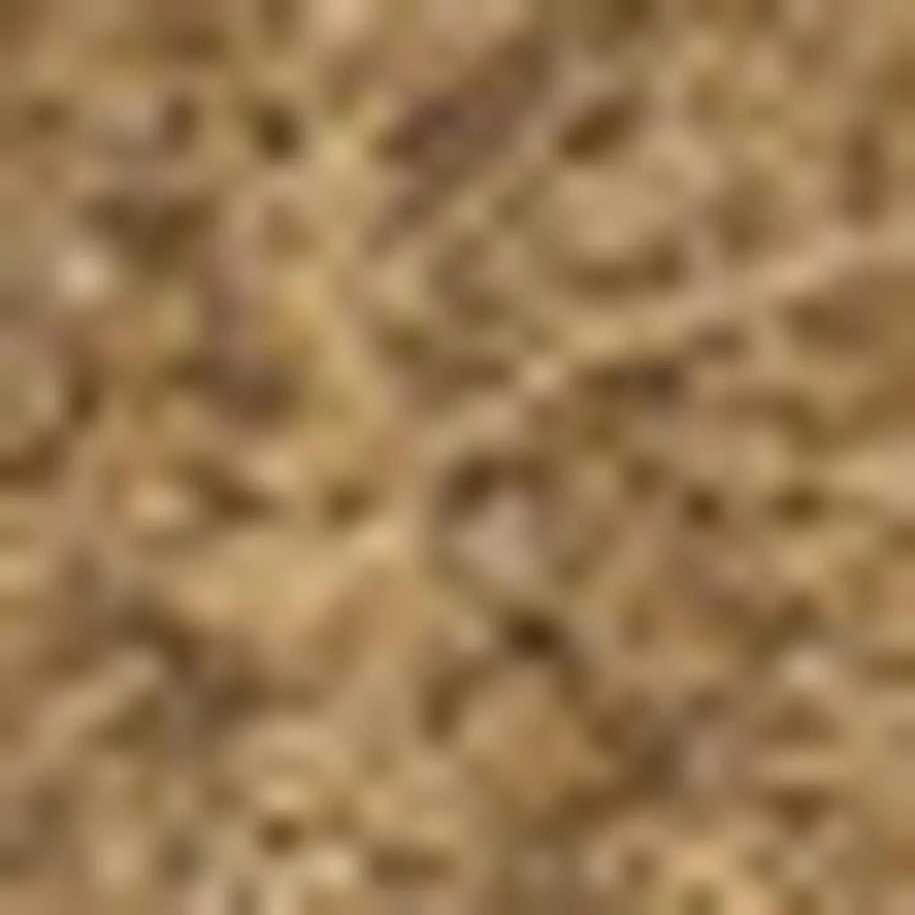 6' X 9' Light Brown Indoor Outdoor Area Rug - GreatEagleInc
