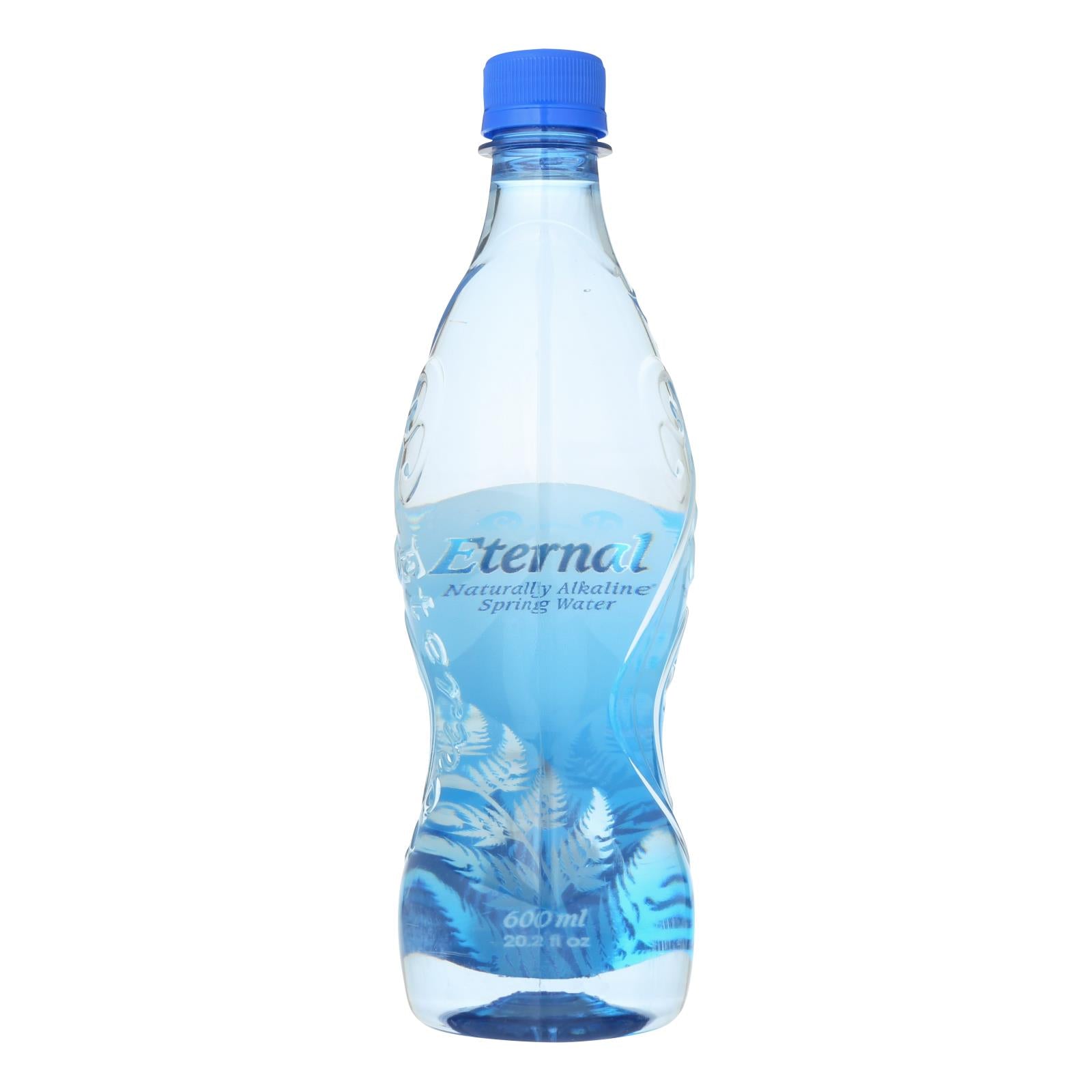 Eternal Naturally Artesian Water - Case Of 24 - 600 Ml - GreatEagleInc